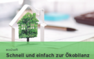 Symbolbild eines Hauses, das einen Baum umhüllt.