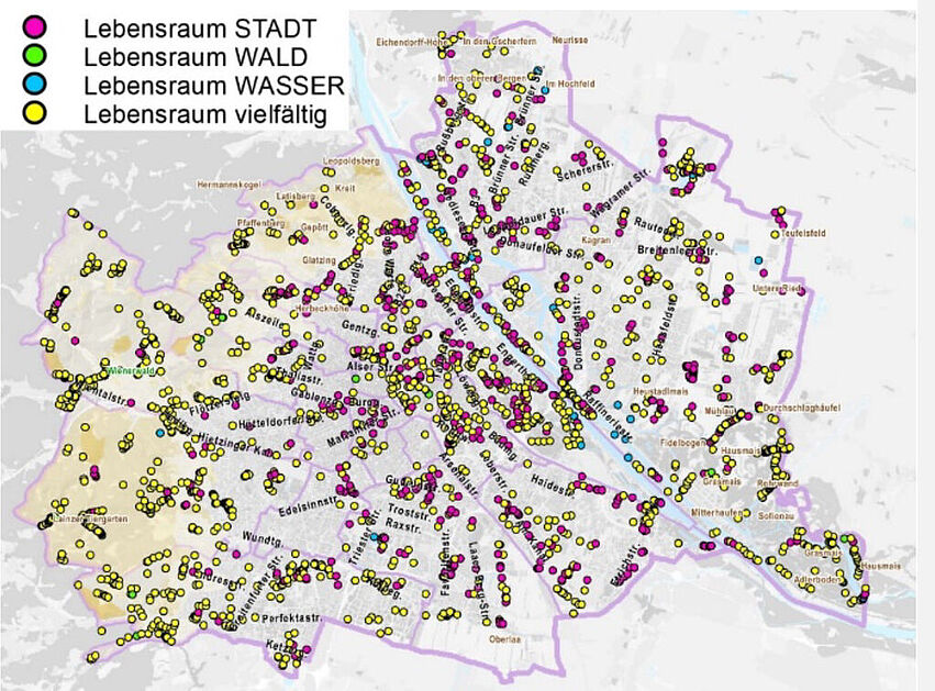 20201007_Beitrag_IBO_Newsletter_Pecha_Steiner-1_korr1