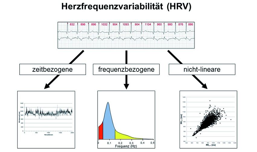 IBOKiting_DynamischeBehaglichkeitV1_bab
