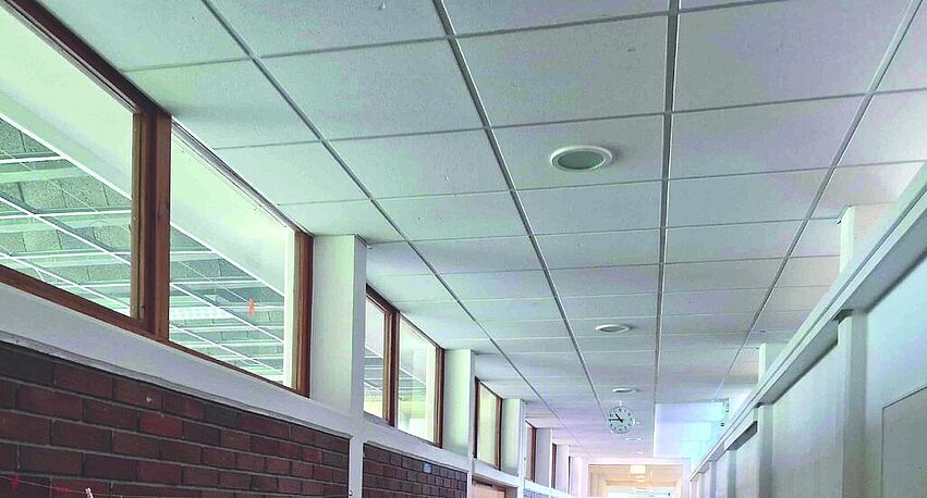 IMB_KITTING24_Chloranisole_korrBaB