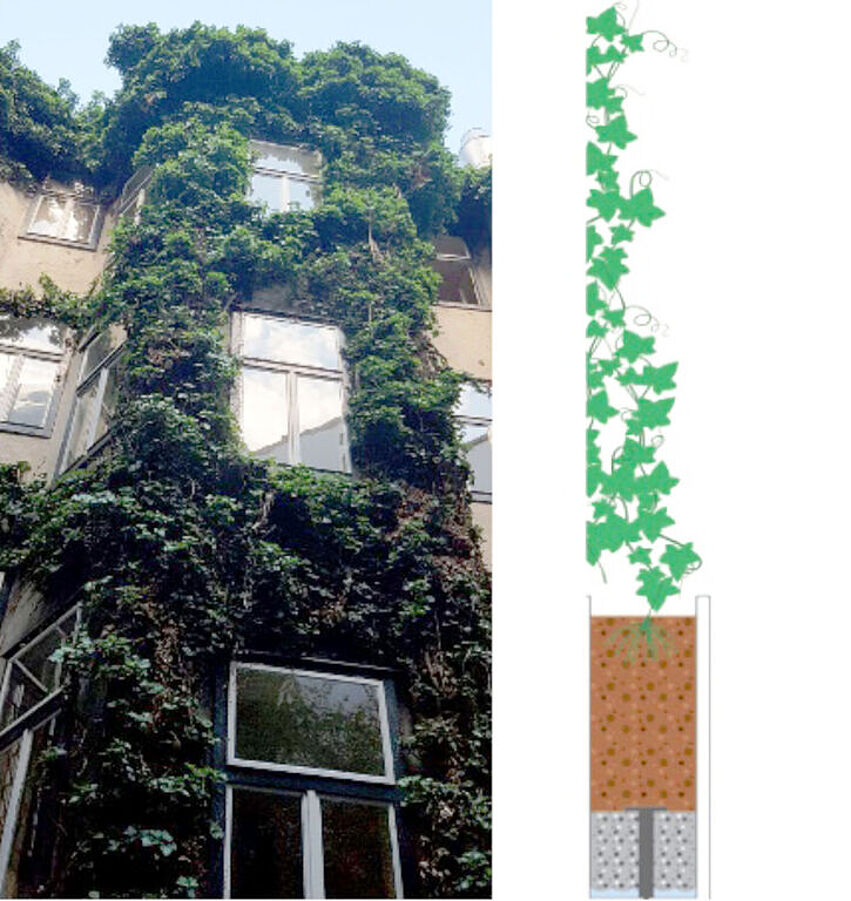 20210408_Treibhauspotential der Fassadenbegr nung